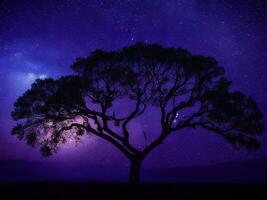 un majestuoso árbol silueta en contra un fondo de el vasto noche cielo lleno con estrellas ai generado foto