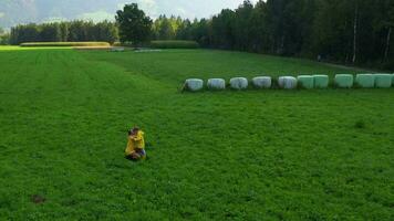 ein Person im ein Feld mit Berge im das Hintergrund video