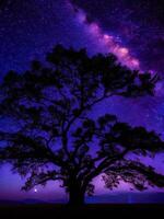 un majestuoso árbol silueta en contra un fondo de el vasto noche cielo lleno con estrellas ai generado foto