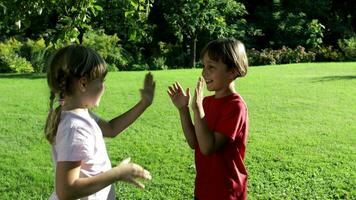 two children playing with each other in a grassy field video