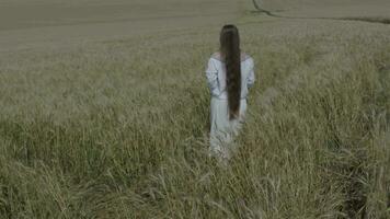 an aerial view of a person walking through a field video