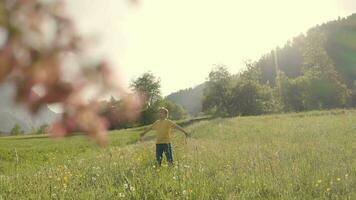 ein Junge ist Gehen durch ein Feld mit Blumen video