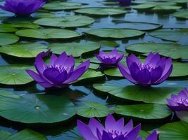 púrpura loto flores flotante en un estanque ai generado foto