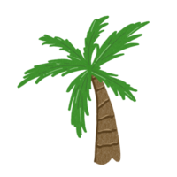 Coco árbol png para decoración antecedentes