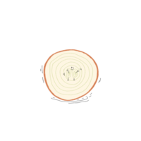 Onion drawing for decor png