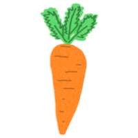 Carrot drawing for decor png