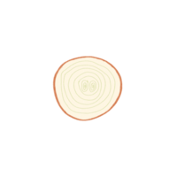 Onion drawing for decor png
