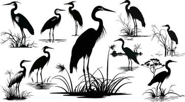 Silhouette or shadow black ink icons of crane birds or herons standing set. Group of storks outline template or creative background vector illustration isolated on white.