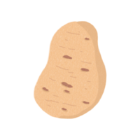Potato drawing for decor png