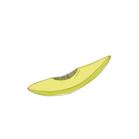 Avocado pieces drawing for decor png