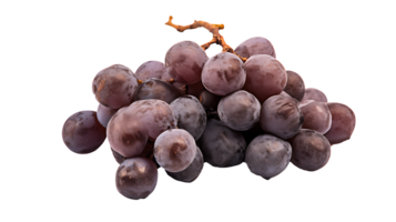 vers biologisch droog druif fruit reeks transparant PNG achtergrond ai gegenereerd