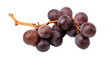 Fresh organic dry grape fruits set transparent png background AI Generated