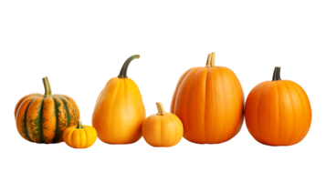 diferente tipo de calabaza conjunto transparente png antecedentes. calabaza vegetales png haz ai generado