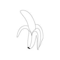 Banana Drawing isolated on white background sketch coloring page vector