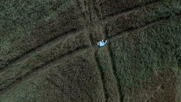 an aerial view of a person walking through a field video