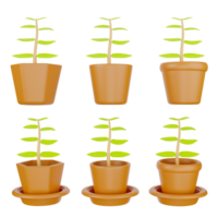 3D rendering of tree in different shape plant pot with and without plate png