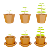 3D rendering of tree in different shape plant pot with and without plate png