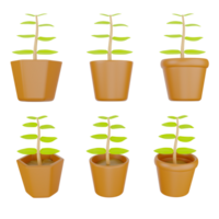 3D rendering of tree in different shape plant pot without plate png