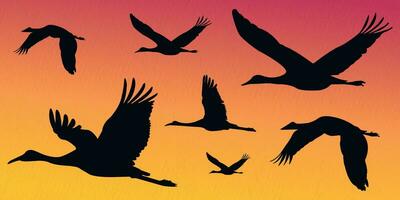 Flock of flying cranes, heron,egret, stork, flamingo  in a set of vector silhouettes