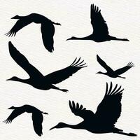 Flock of flying cranes, heron,egret, stork, flamingo  in a set of vector silhouettes