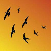 Flock of flying birds in a set of vector silhouettes