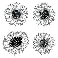 Sunflowers Line Art, Fine Line Sunflower Bouquets Hand Drawn Illustration. Coloring Page with SunFlowers. vector