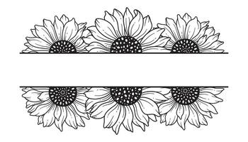 Sunflower Split Border. Half of Sunflower. Sunflower Frames Line Art, Fine Line Sunflower Frames Hand Drawn Illustration. Coloring Page with SunFlowers. vector