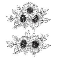 Sunflowers Line Art, Fine Line Sunflower Bouquets Hand Drawn Illustration. Coloring Page with SunFlowers. vector