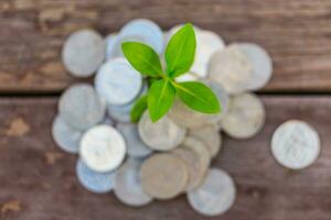 Money growth Deposit your budget for investment photo