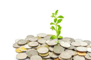 trees growing on coins photo