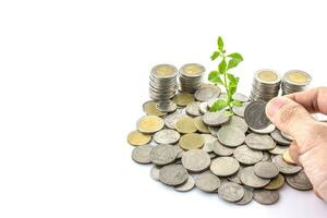 Hand put coins to stack of coins with  trees growing on coins photo