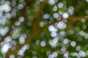 Blur colorful nature bokeh background photo