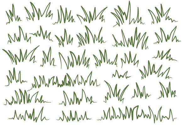 green grass. doodle grass illustration. grass outline illustration. set of handrawn grass.