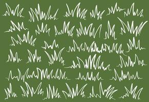 green grass. doodle grass illustration. grass outline illustration. set of handrawn grass. vector