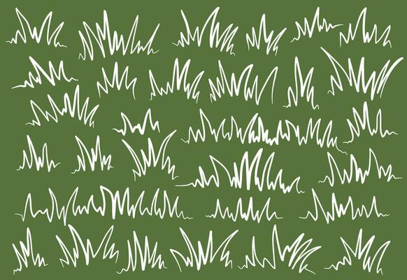 green grass. doodle grass illustration. grass outline illustration. set of handrawn grass.