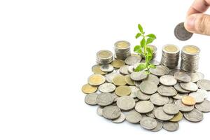 Hand put coins to stack of coins with  trees growing on coins photo