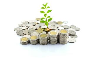 trees growing on coins photo