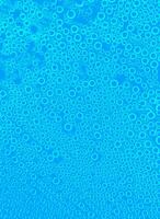 resumen gotas en el superficie de transparente el plastico. suave pequeño burbujas en el forma de un regular círculo, resumen antecedentes de agua burbujas foto