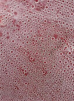 abstract drops on the surface of transparent plastic. Smooth small bubbles in the shape of a regular circle, abstract background of water bubbles photo