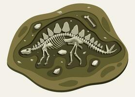 Stegosaurus Dinosaurs Archaeology Fossil Cartoon Discover in the Ground vector