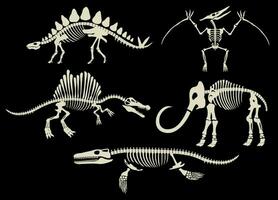 conjunto colección de dinosaurio fósiles arqueología negro y blanco vector