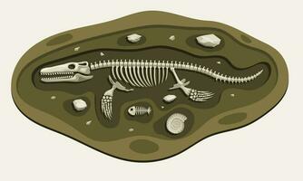 Mosasaurus Dinosaurs Archaeology Fossil Cartoon Discover in the Ground vector