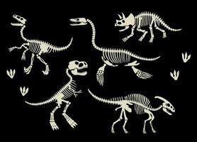 Set of Dinosaurs Skeleton Fossil Collection vector