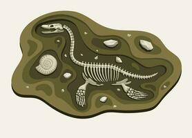 Elasmosaurus Dinosaurs Archaeology Fossil Cartoon Discover in the Ground vector