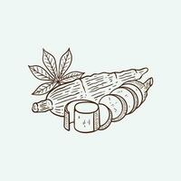 hand drawn cassava illustration vector