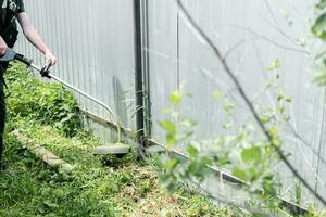 a man mows lawn grass with a lawn mower. petrol lawn mower, trimmer close-up. Man working in the garden photo