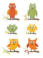 Cute owls. Collection of funny, colorful, friendly owl, joyful forest or zoo birds, characters for children. Cartoon set for cards, invitation, party attributes, prints. vector