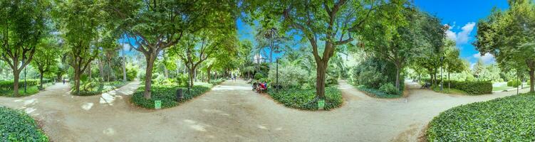 Impression from a well maintained garden with precisely cut bushes in summer photo