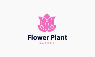 Feminine luxury lotus flower logo template vector
