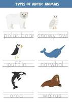 Tracing names of arctic animal types. Writing practice. vector